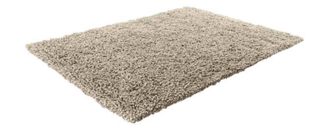 Cuci Karpet